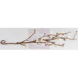 Blossoming Branches- Almond